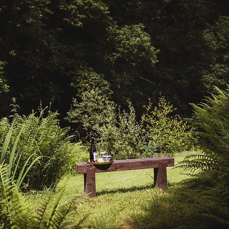 River Cottage, A Luxurious And Cosy Riverside Cottage For Two Уэлшпул Экстерьер фото
