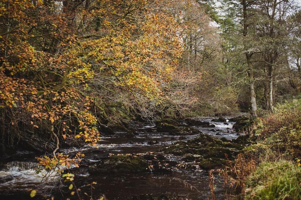 River Cottage, A Luxurious And Cosy Riverside Cottage For Two Уэлшпул Экстерьер фото